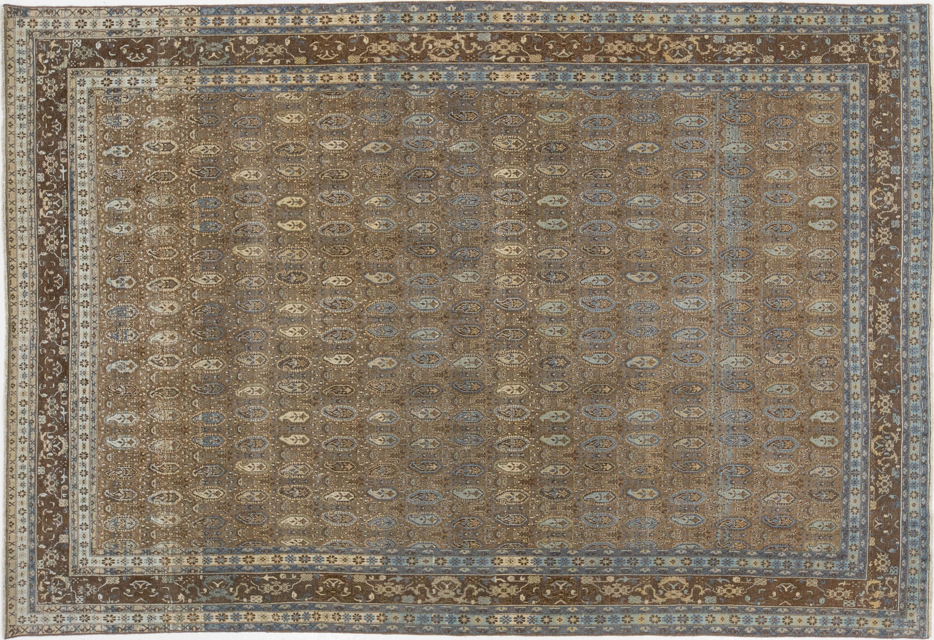 Antique Agra Wool Rug 7 X 10