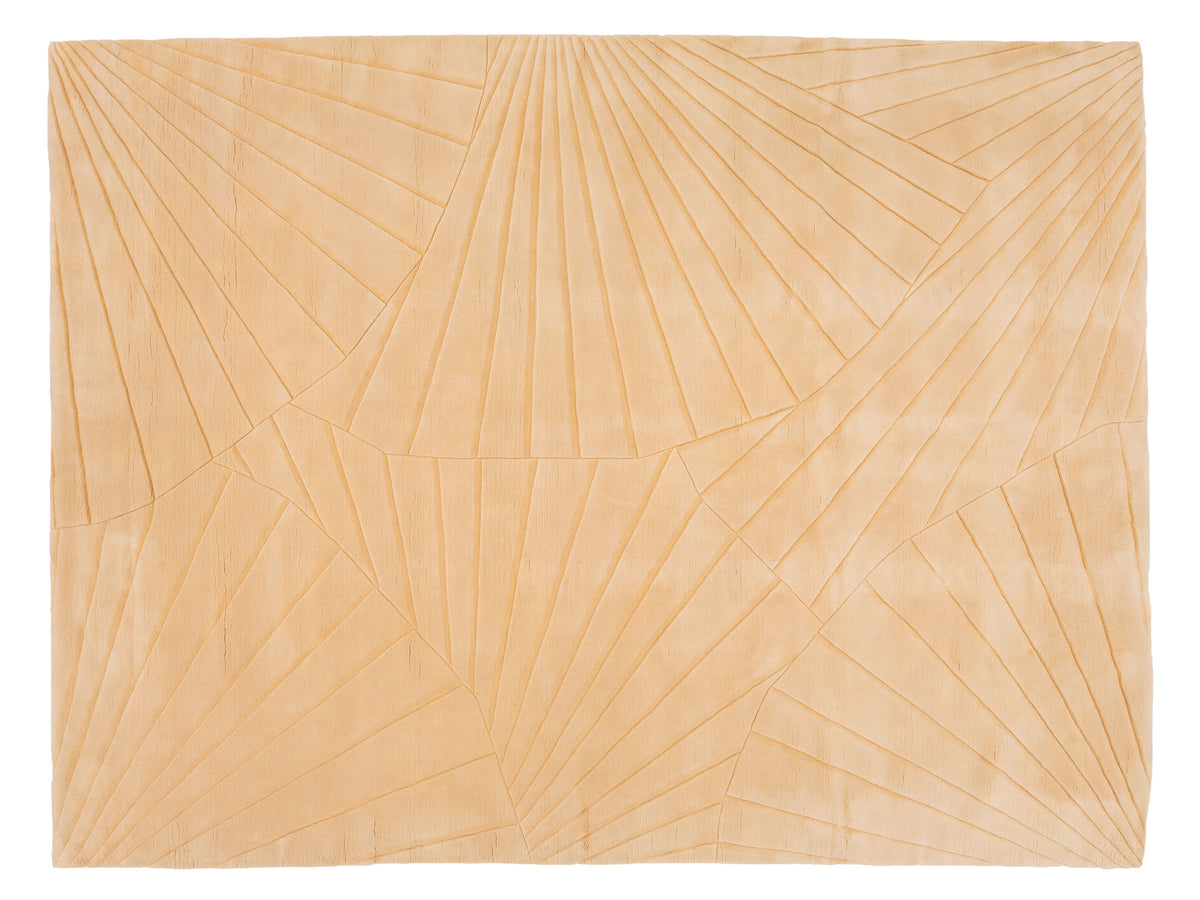 Modern Wool Rug 9 X 12