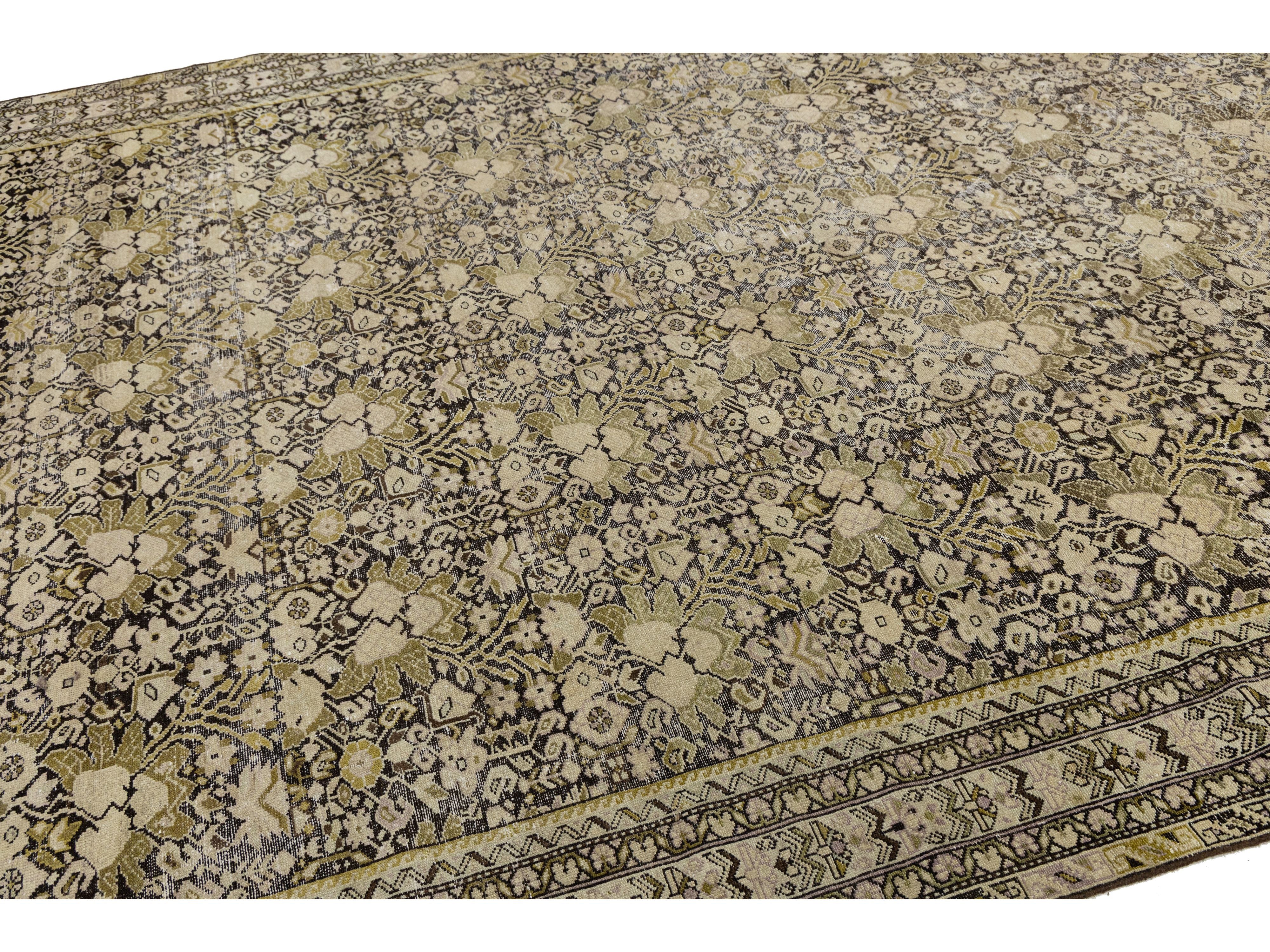 Antique Malayer Wool Rug 9 X 17