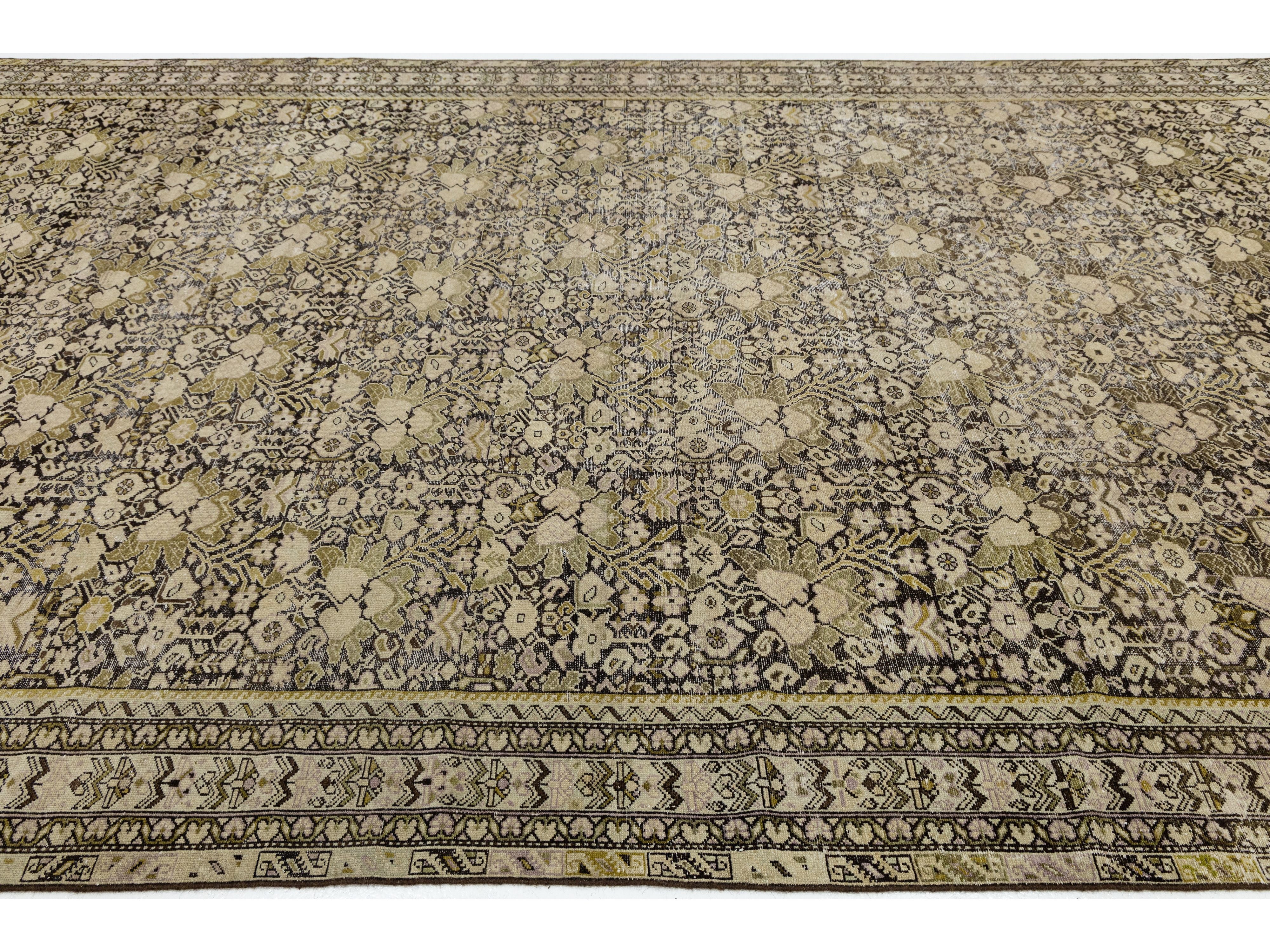 Antique Malayer Wool Rug 9 X 17