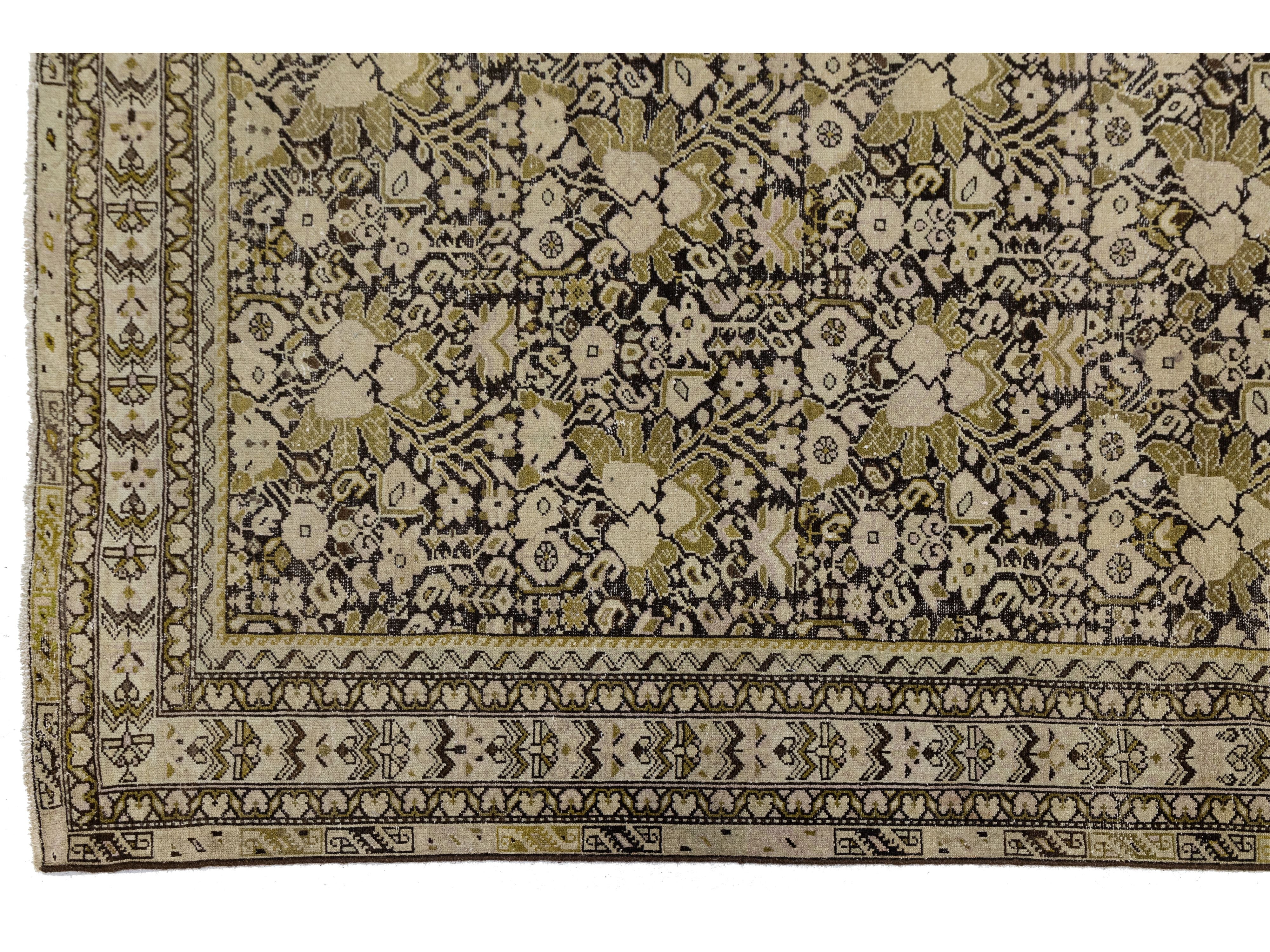 Antique Malayer Wool Rug 9 X 17