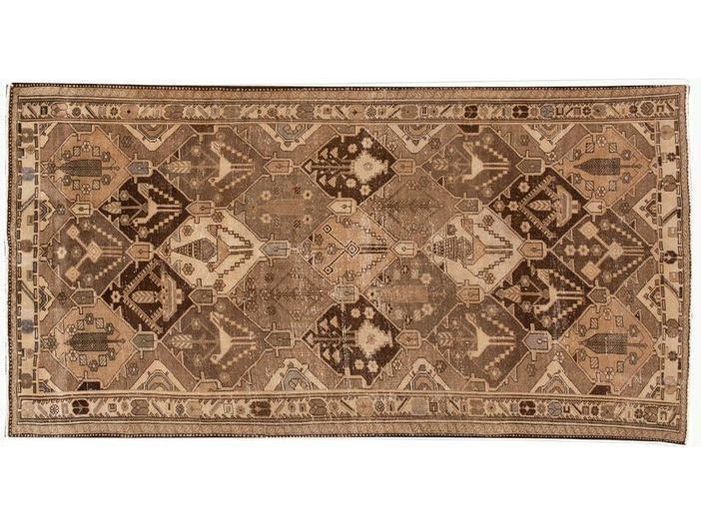 Mid 20th Century Vintage Bakhtiari Rug 5 X 10
